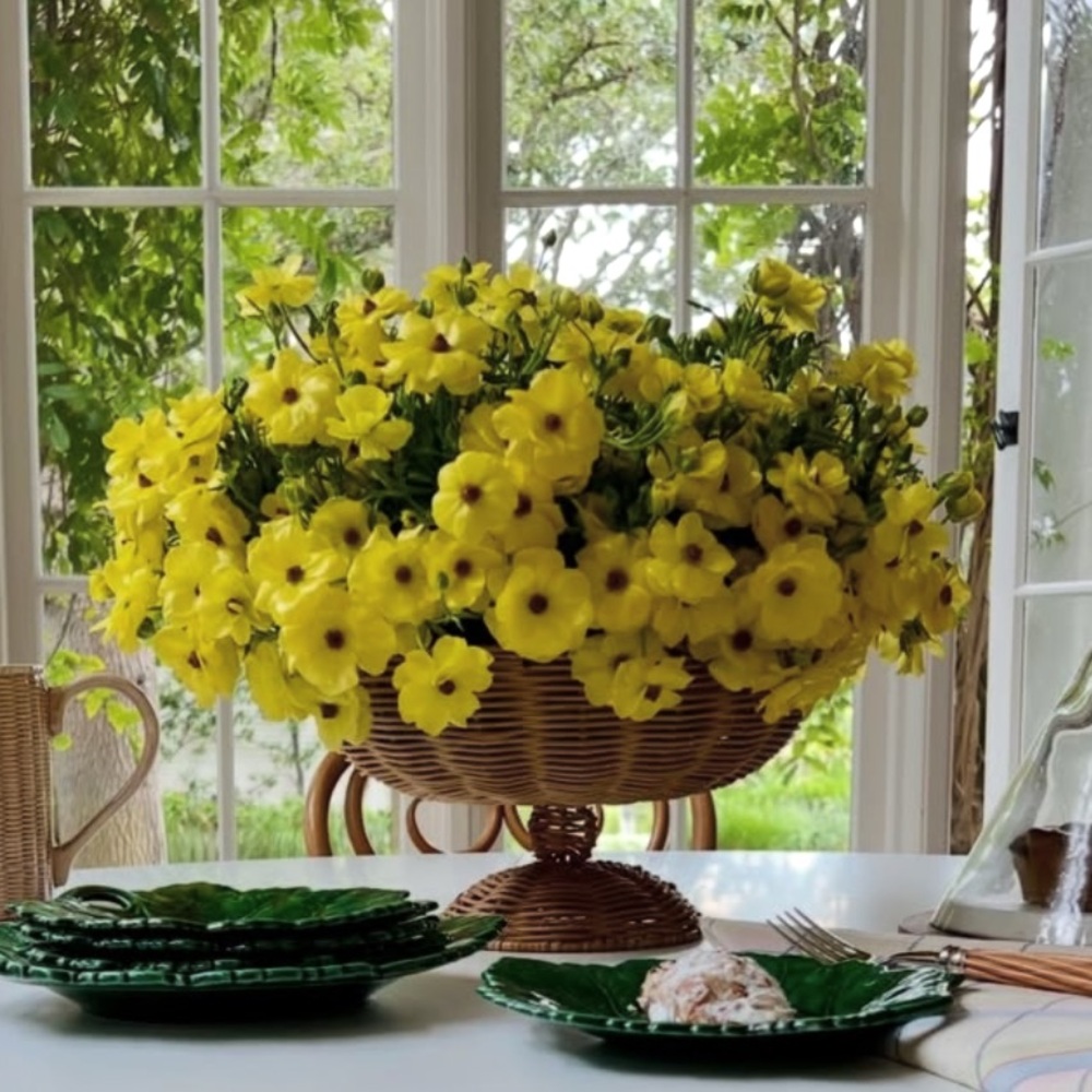 Meet your Posher, Jen